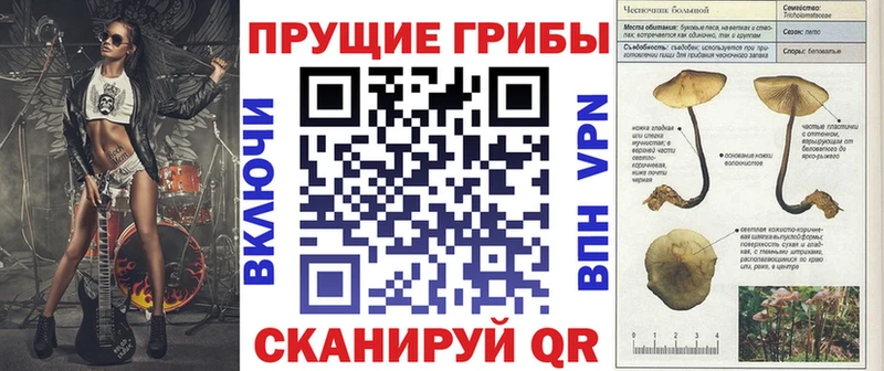 Галлюциногенные грибы мухоморы  ОМГ ОМГ ONION  дарк нет как зайти  Чулым 
